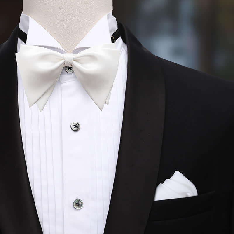 Men's Graceful Wedding Groom Oversized Pointed Bow Tie - image 12