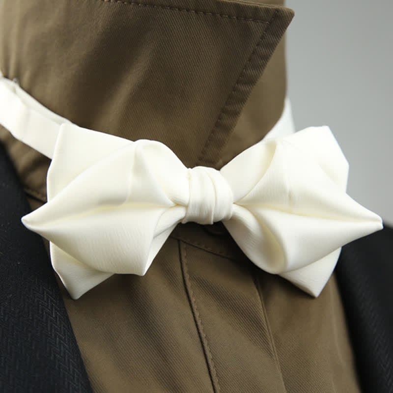 Men's Leisure Style Unique Pointed Shape Bow Tie - White - image 16