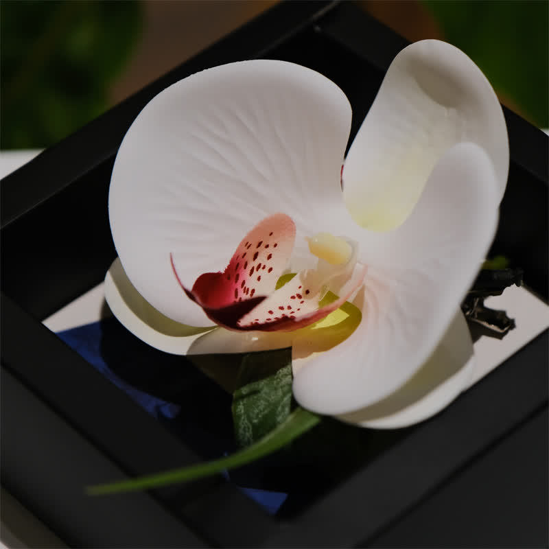 3Pcs Men's White Phalaenopsis Bow Tie Handkerchief Set - image 6