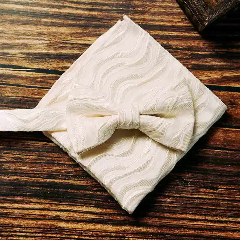 2Pcs Men's Three-Dimensional Vine Pattern Handkerchief Bow Tie - White - Bow Tie + Handkerchief - image 0