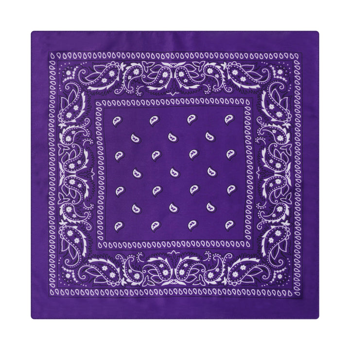 Paisley Cashew Print Pocket Square Brown Sailboat Buckle - Style #5 - image 6