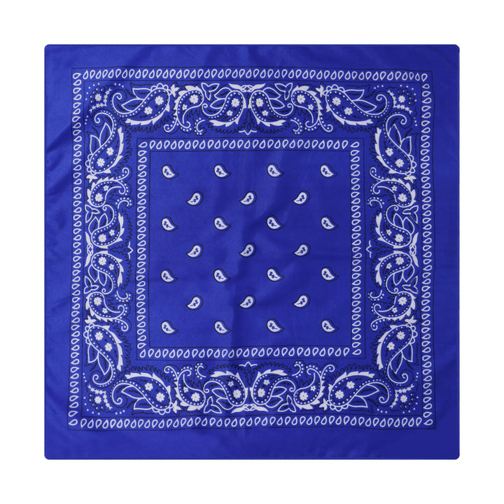 Paisley Cashew Print Pocket Square Brown Sailboat Buckle - Style #11 - image 12