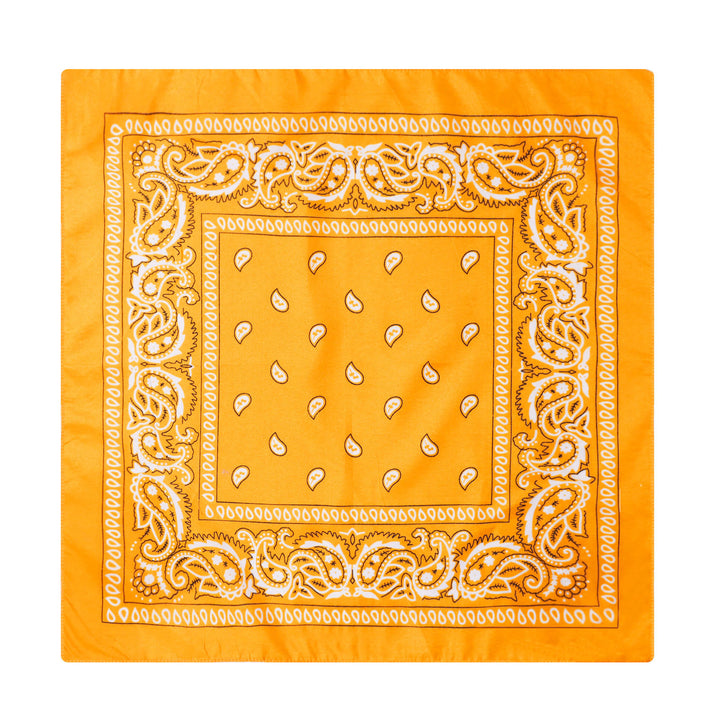 Paisley Cashew Print Pocket Square Brown Sailboat Buckle - Style #17 - image 18