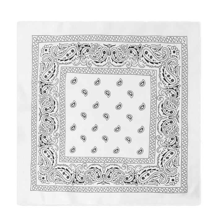 Vintage Paisley Cashew Printed Pocket Square With Silver Star Buckle - Style #10 - image 11