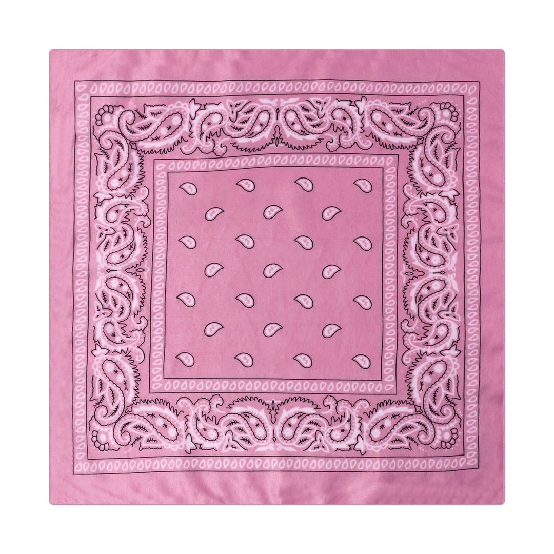 Vintage Paisley Cashew Printed Pocket Square With Silver Star Buckle - Style #20 - image 21