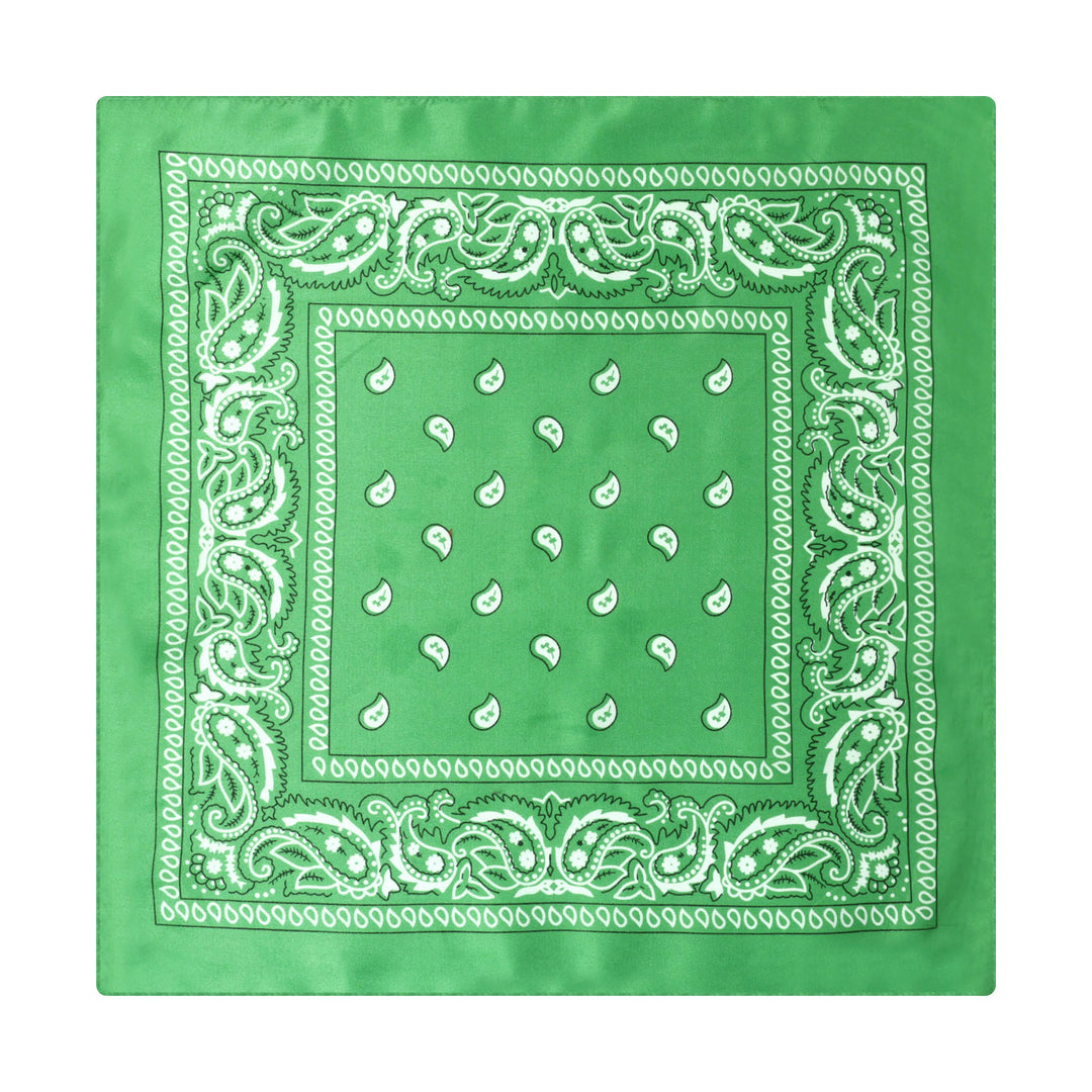 Vintage Paisley Cashew Printed Pocket Square With Silver Star Buckle - Style #13 - image 14