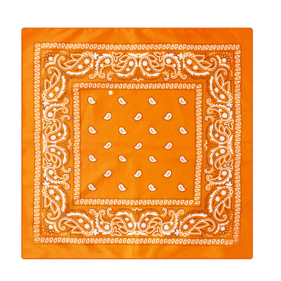 Vintage Paisley Cashew Printed Pocket Square With Silver Star Buckle - Style #14 - image 15