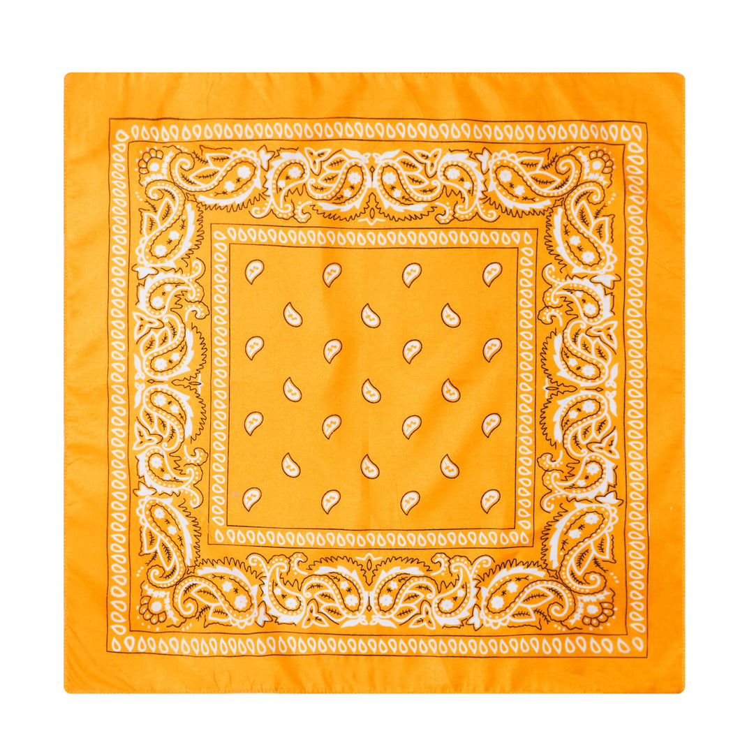 Vintage Paisley Cashew Printed Pocket Square With Silver Star Buckle - Style #17 - image 18
