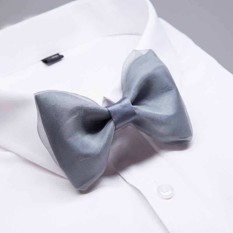 Men's Simple Gentleman Grey Organza Bow Tie - image 1