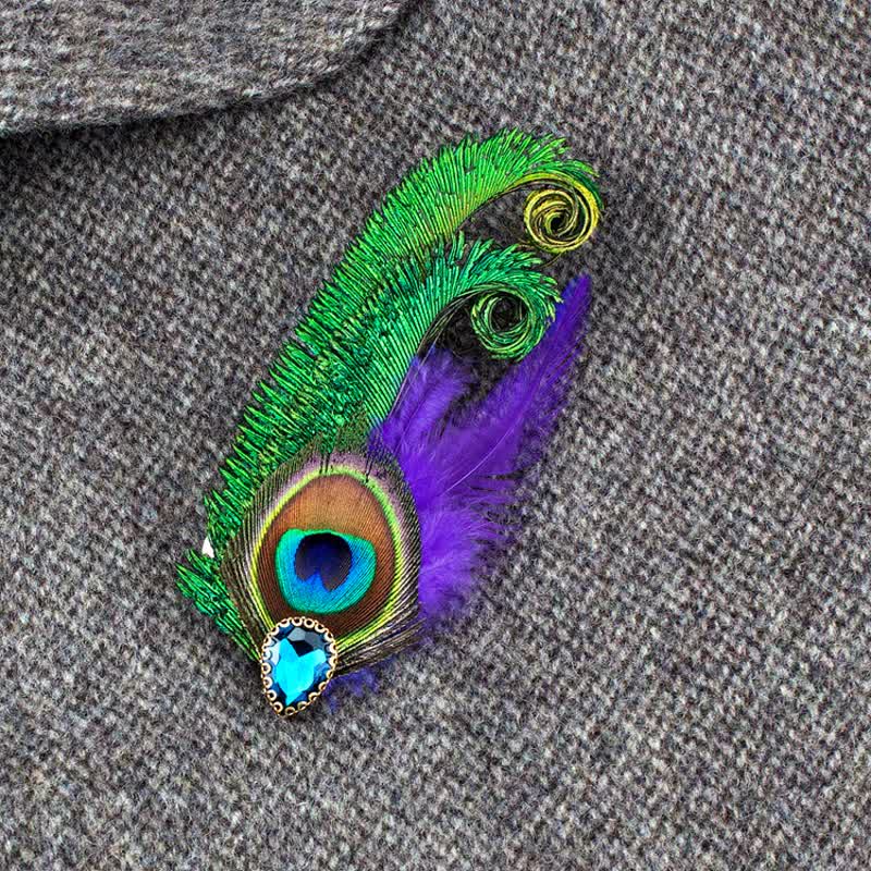 Rhinestone Peacock Eye Feather Brooch - image 1