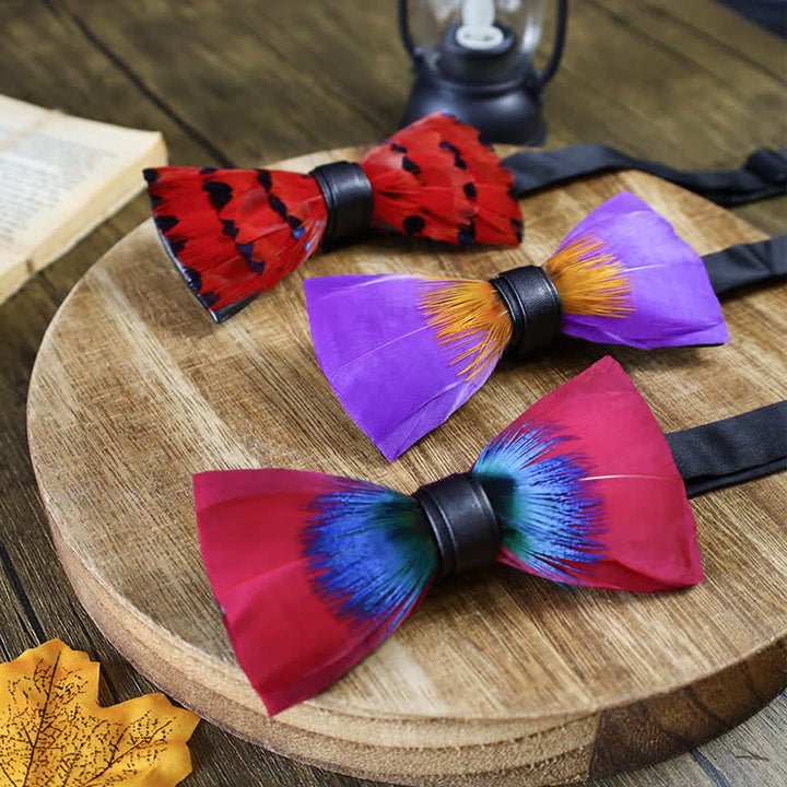 Bright-Coloured Handmade Feather Bow Tie Collection Bundle - image 1