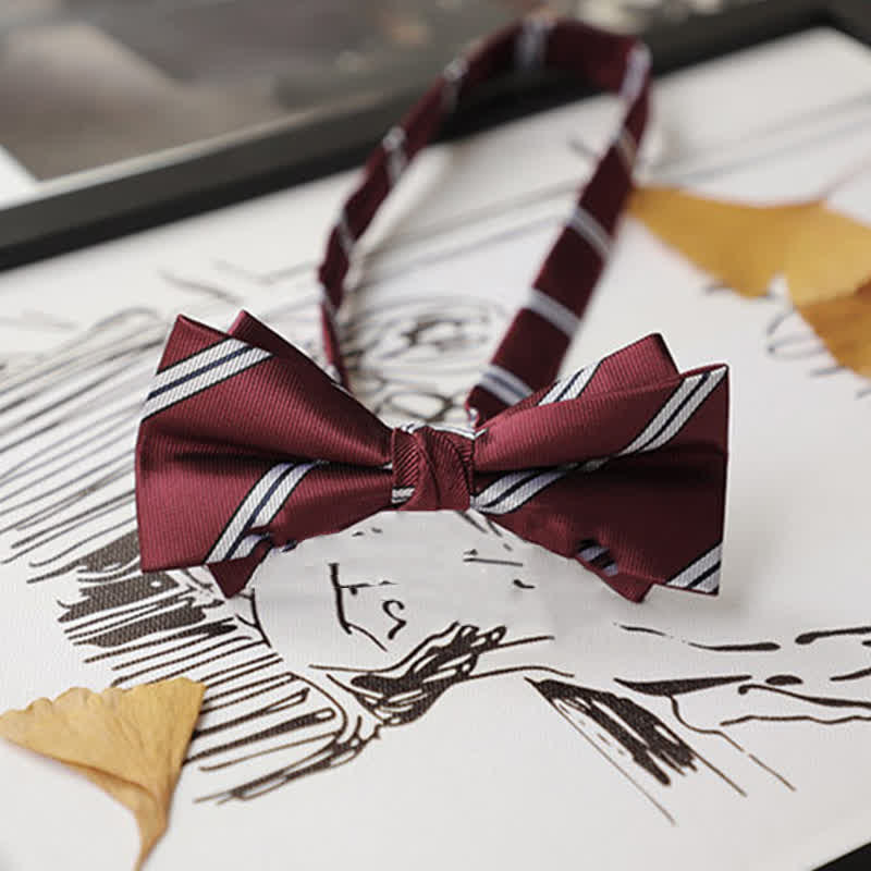 Men's Burgundy Series Gentleman Bow Tie - image 23